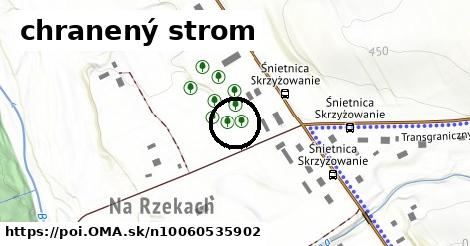 chranený strom