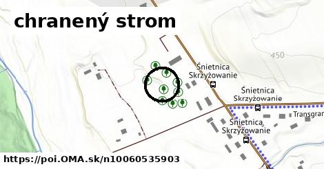 chranený strom