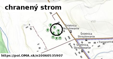 chranený strom