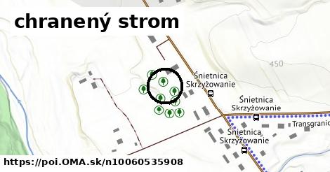 chranený strom