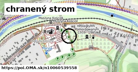 chranený strom