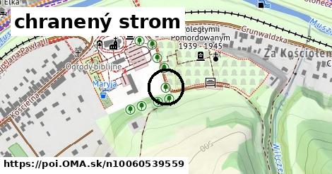 chranený strom