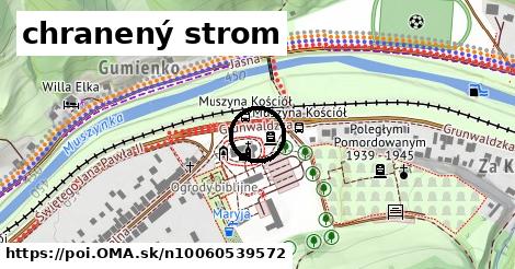 chranený strom