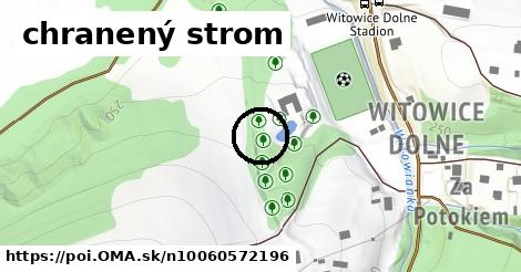 chranený strom