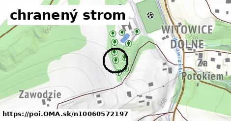 chranený strom