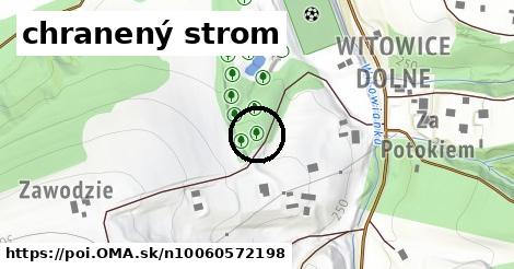 chranený strom