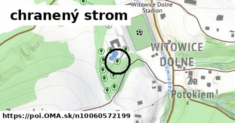 chranený strom