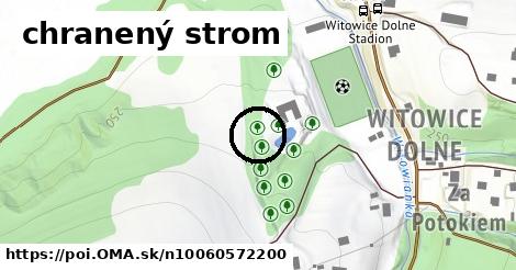 chranený strom