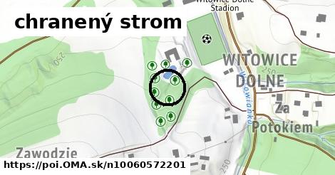 chranený strom