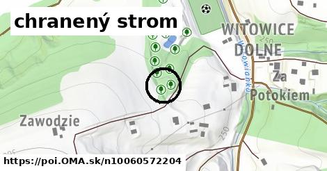 chranený strom