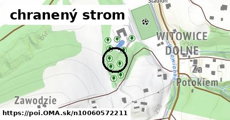 chranený strom