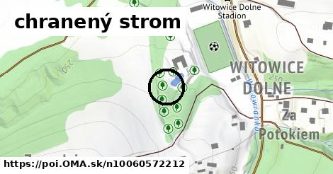 chranený strom