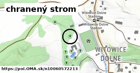 chranený strom