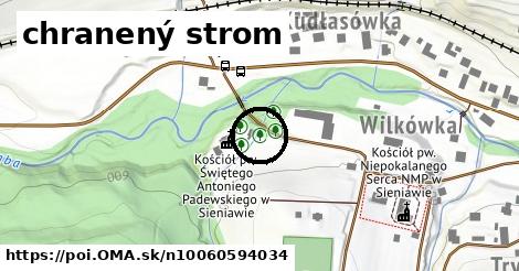 chranený strom