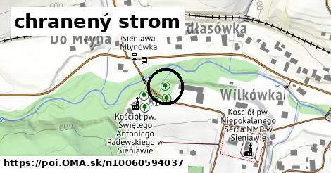 chranený strom