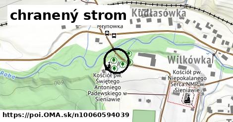 chranený strom