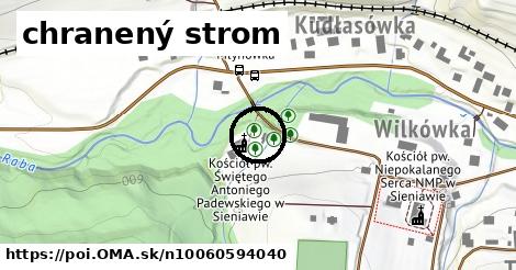 chranený strom