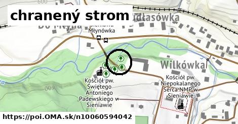 chranený strom