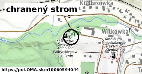 chranený strom