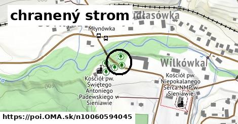 chranený strom