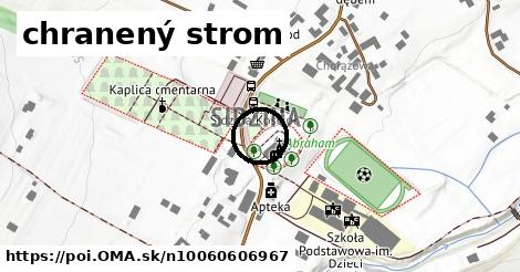 chranený strom