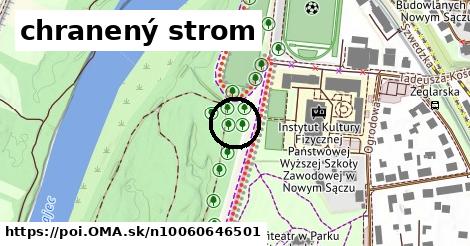 chranený strom