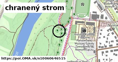 chranený strom