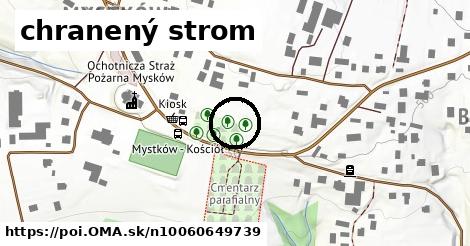 chranený strom