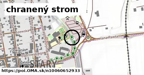 chranený strom