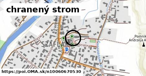 chranený strom