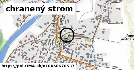 chranený strom