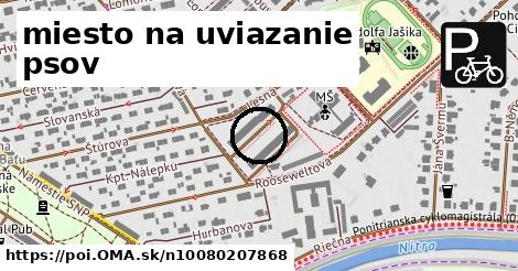 miesto na uviazanie psov