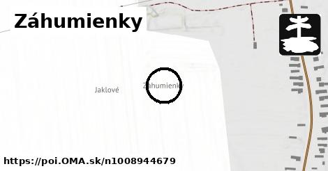 Záhumienky