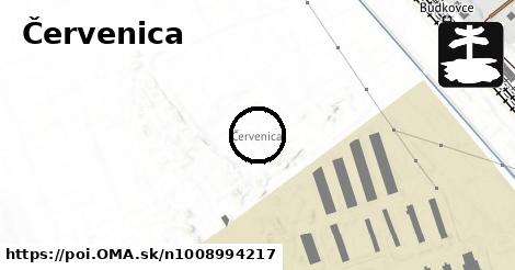 Červenica