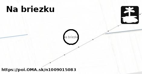 Na briezku