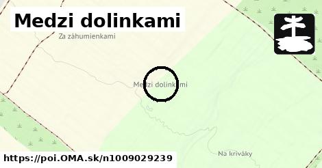 Medzi dolinkami