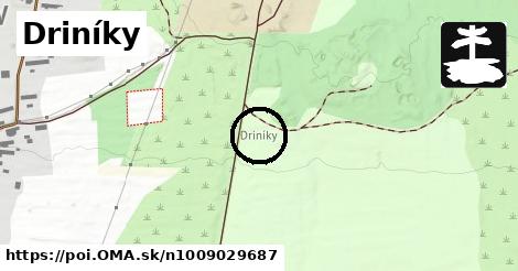 Driníky