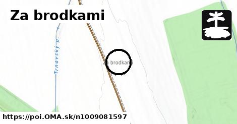 Za brodkami