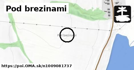 Pod brezinami