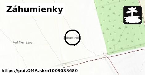 Záhumienky