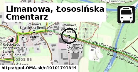 Limanowa, ul. Łososińska Cmentarz