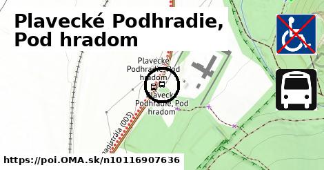 Plavecké Podhradie, Pod hradom