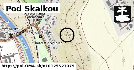 Pod Skalkou