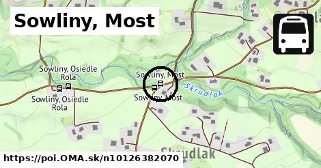Sowliny, Most