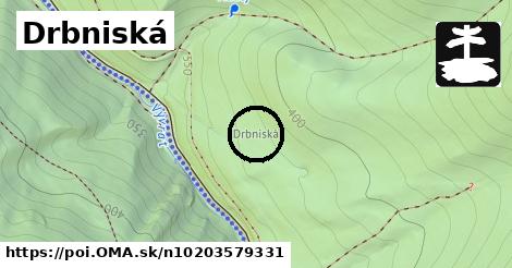 Drbniská