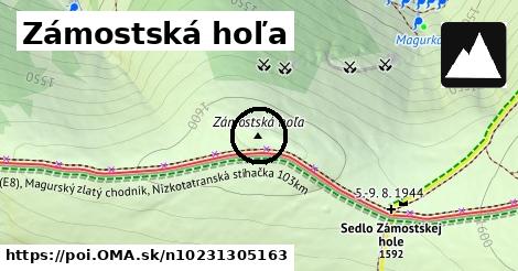 Zámostská hoľa