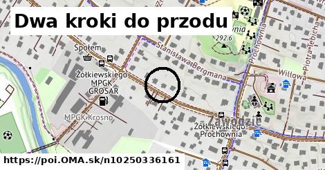 Dwa kroki do przodu