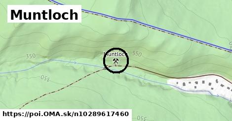 Muntloch