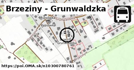 Brzeziny - Grunwaldzka