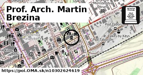 Prof. Arch. Martin Brezina